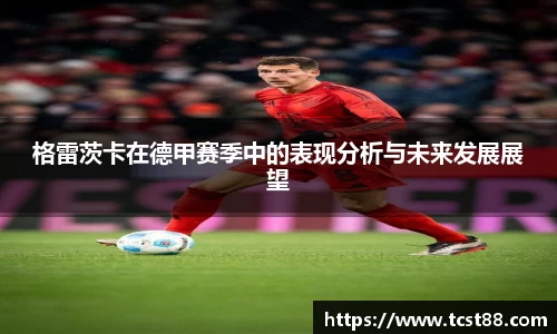 格雷茨卡在德甲赛季中的表现分析与未来发展展望